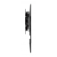 269666_3.png