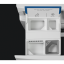 251197_2.png